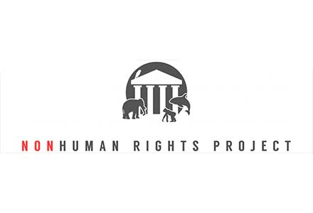 Non-Human Rights Project