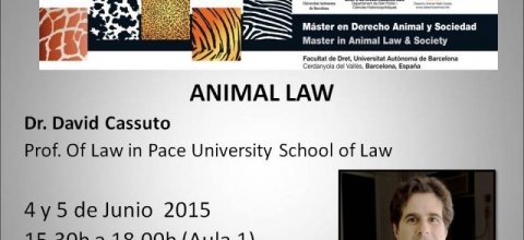 El Dr. David Cassuto en el Máster en Derecho Animal y Sociedad