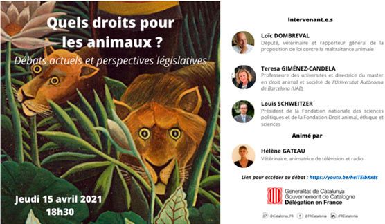 Participation Of Icalp In A Debate Held In France Organised By The Delegation Of The Generalitat De Catalunya Derecho Animal